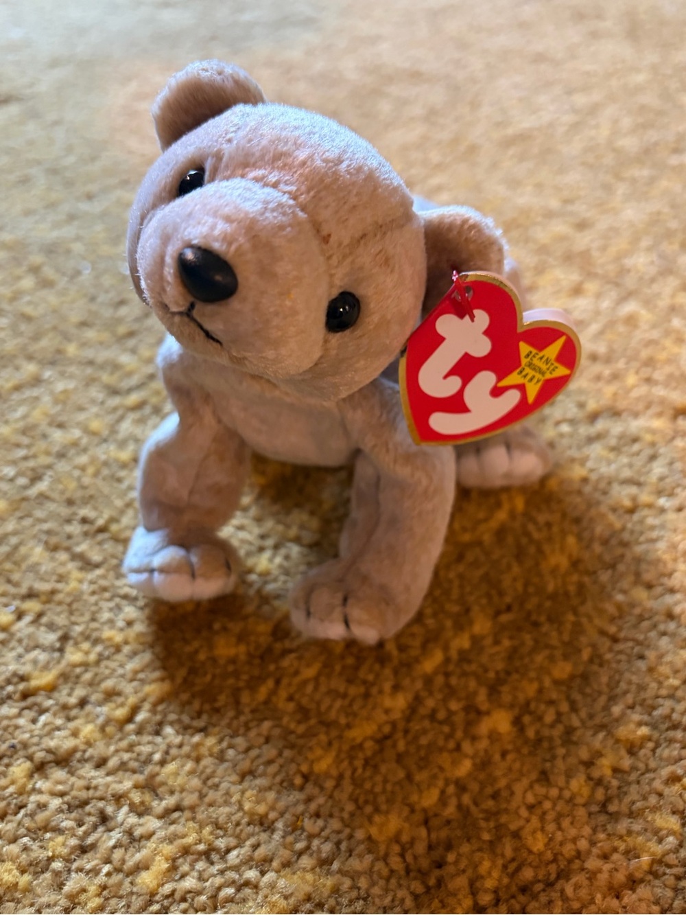 Ty Plush Bear in Light Brown with Black Eyes